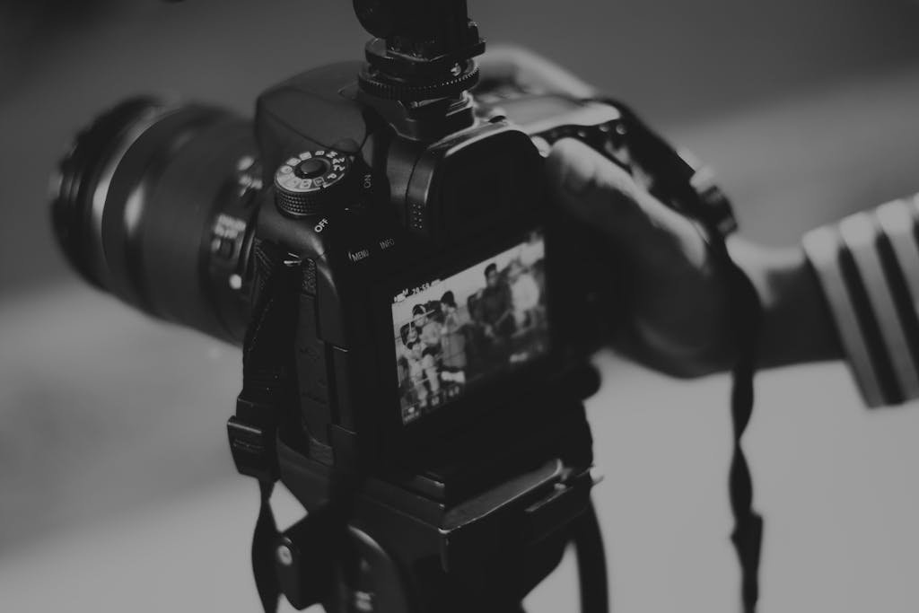 Fotógrafos brasileiros